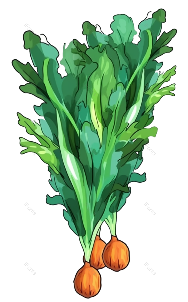 蔬菜图片,手绘蔬菜元素,绿色PNG,绿色蔬菜免抠素材